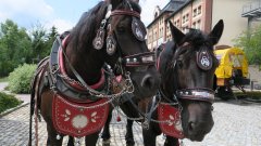 Bierroute   Markersbach - Zwönitz - Lößnitz 2020